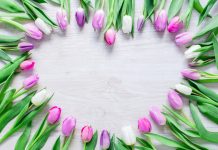 Care sunt cele mai frumoase felicitari de 8 martie?