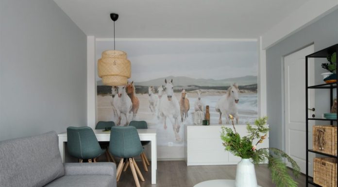 Cum sa amenajezi living-ul in apartament?