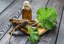 Care sunt beneficiile brusturelui pentru sanatate?