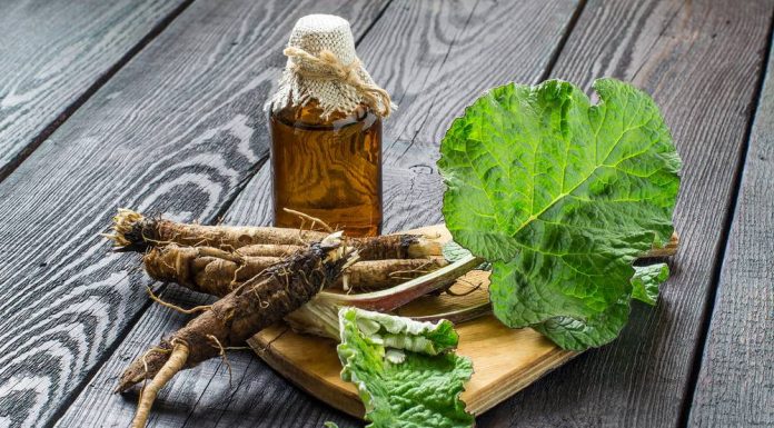 Care sunt beneficiile brusturelui pentru sanatate?