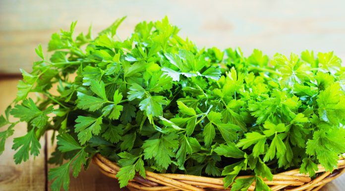 Care sunt beneficiile patrunjelului?