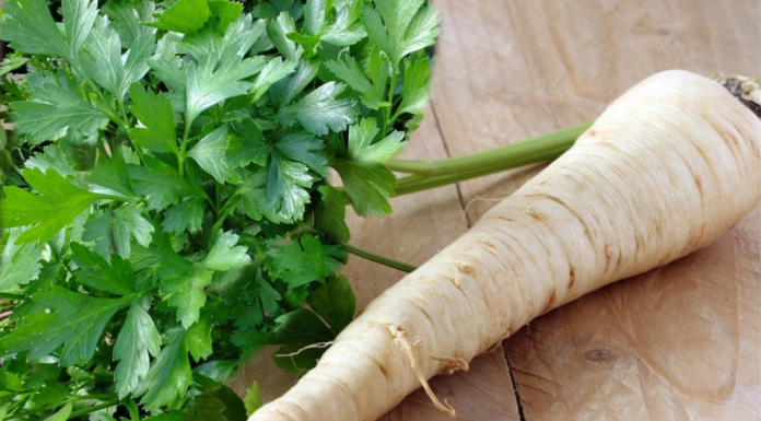 Care sunt beneficiile patrunjelului?