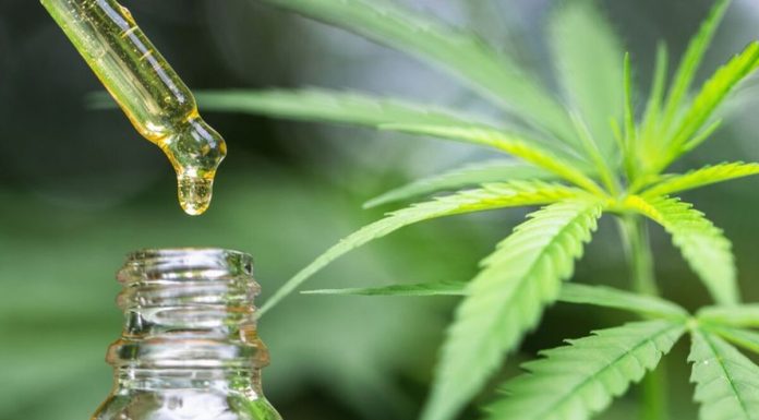 Ce este uleiul de canabis si care sunt beneficiile?