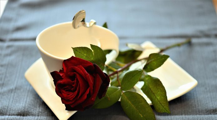 Mesaje de buna dimineata imagini: Care sunt cele mai frumoase?