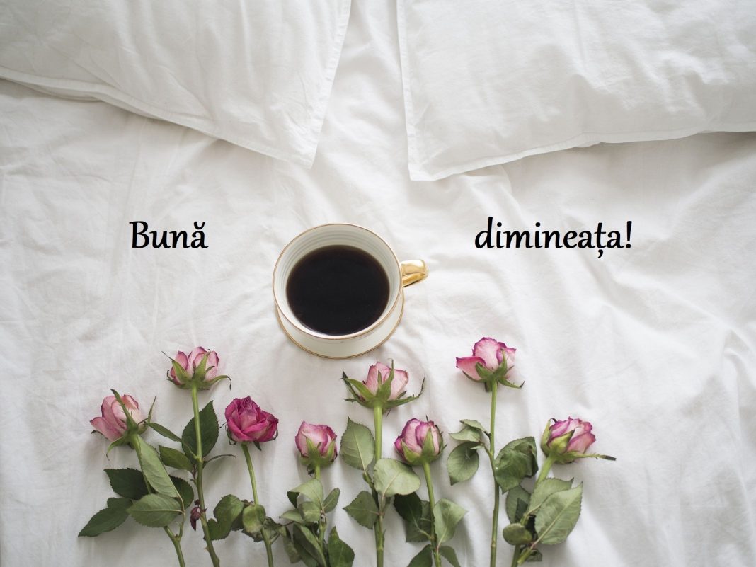 buna-dimineata-poze-haioase.jpg