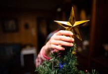 Cand se despodobeste bradul, in ce zi este indicat sa faci asta?