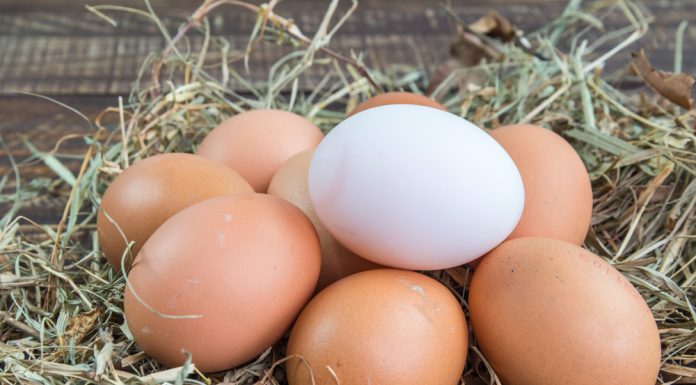 Cand expira ouale si ce termen de valabilitate au?