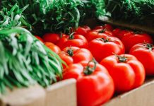 Cand se stropesc rosiile, care este schema de tratamente la tomate?