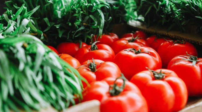 Cand se stropesc rosiile, care este schema de tratamente la tomate?