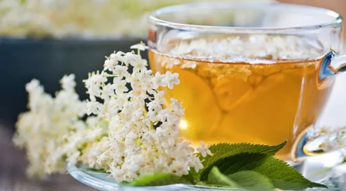 Ce contine ceaiul de soc si care sunt beneficiile?