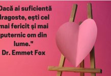 Care sunt cele mai faine citate de o zi minunata?