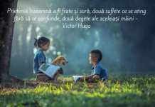 Ce citate de prietenie sunt perfecte de trimis unui prieten?