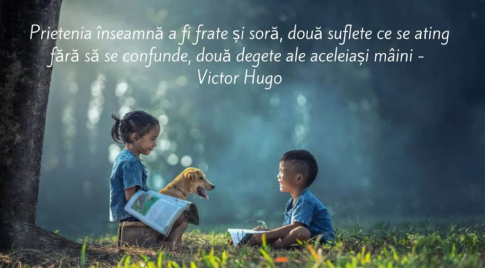 Ce citate de prietenie sunt perfecte de trimis unui prieten?