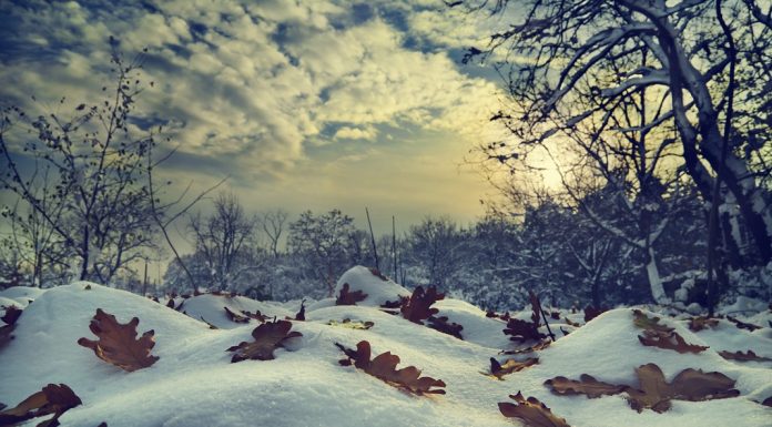 Citate despre iarna: Care sunt cele mai frumoase citate?