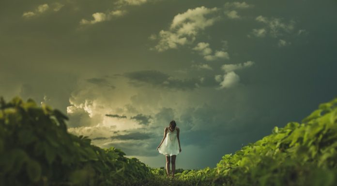 Care sunt cele mai expresive citate despre natura?