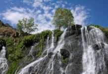 Care sunt cele mai expresive citate despre natura?