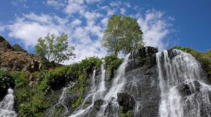 Care sunt cele mai expresive citate despre natura?