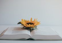 Citate despre viata: Care citate sunt cele mai profunde?