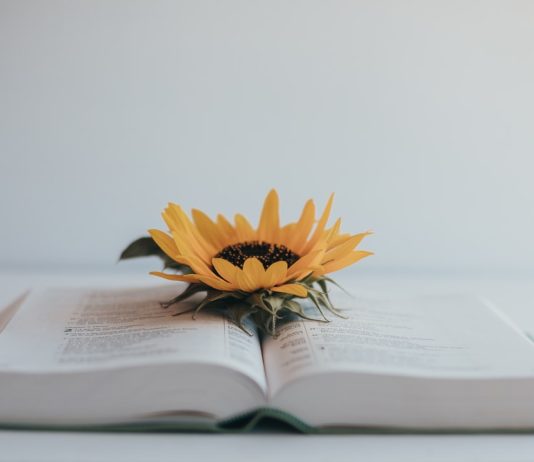 Citate despre viata: Care citate sunt cele mai profunde?