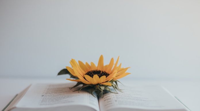 Citate despre viata: Care citate sunt cele mai profunde?