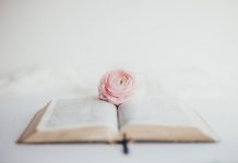 Citate motivationale: Care sunt cele mai optimiste citate?