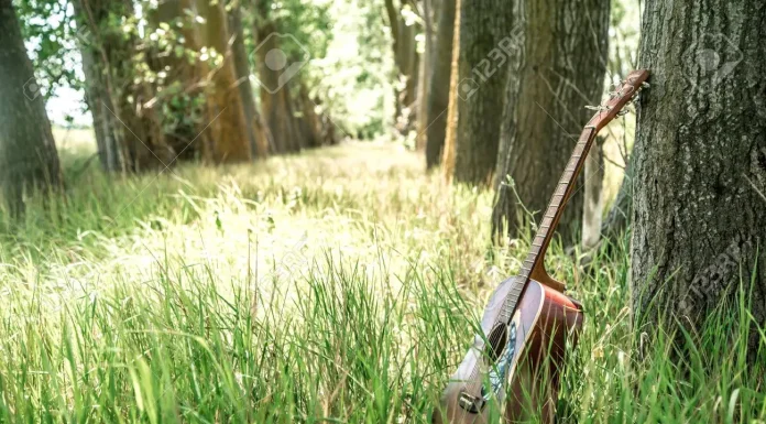 Care sunt cele mai inspirationale citate muzica si natura?