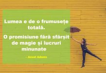 Citate pentru poze: Care sunt cele mai motivationale citate?