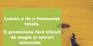 Citate pentru poze: Care sunt cele mai motivationale citate?