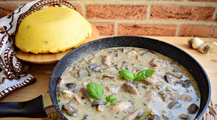 Retete ciulama de ciuperci cu pui: Care sunt cele mai bune retete?