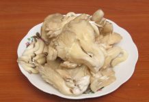 Cum sa gatesti ciupercile pleurotus?