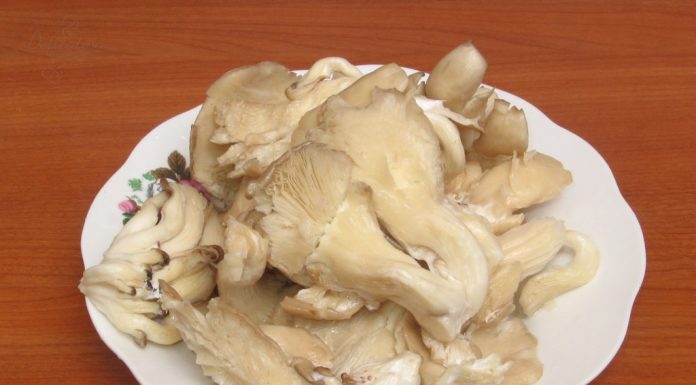 Cum sa gatesti ciupercile pleurotus?