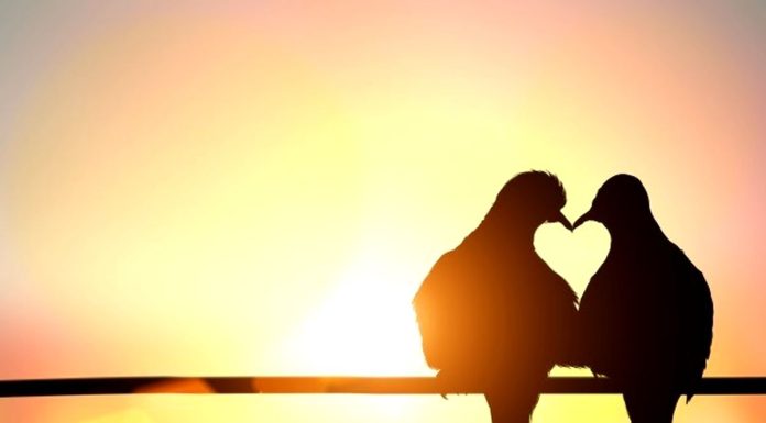 Declaratii de dragoste emotionante: Care sunt cele mai profunde?