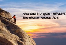 Ce descrieri de viata sunt bune de postat?
