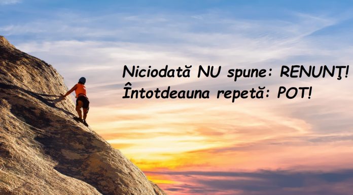 Ce descrieri de viata sunt bune de postat?