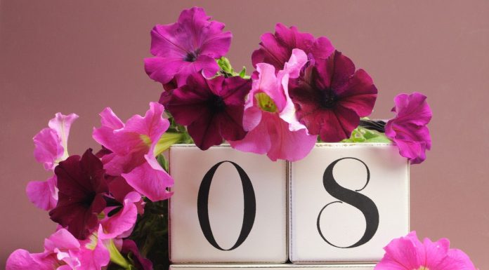 Care sunt cele mai frumoase felicitari de 8 martie?