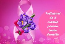 Care sunt cele mai frumoase mesaje si felicitari de 8 martie (ziua femeii)?