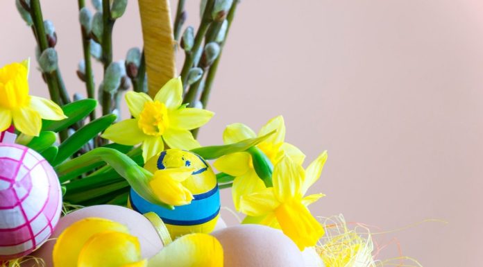 Felicitari de Paste: Care sunt cele mai frumoase felicitari de Paste?