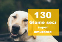 Care sunt cele mai amuzante glume scurte?