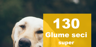 Care sunt cele mai amuzante glume scurte?