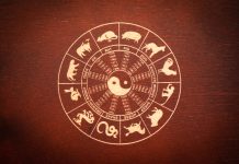 Zodiile chinezesti: Ce zodie esti in zodiacul chinezesc?