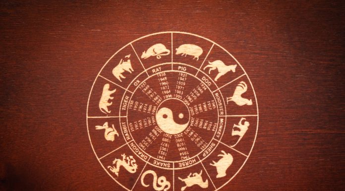Zodiile chinezesti: Ce zodie esti in zodiacul chinezesc?