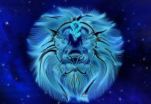 Horoscop Leu: Ce spun astrele despre bani, dragoste si cariera?