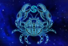 Horoscop Rac: Ce spun astrologii despre zodia Rac?