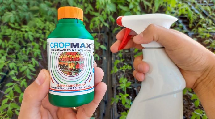 Cand se aplica ingrasamant foliar Cropmax la rosii?