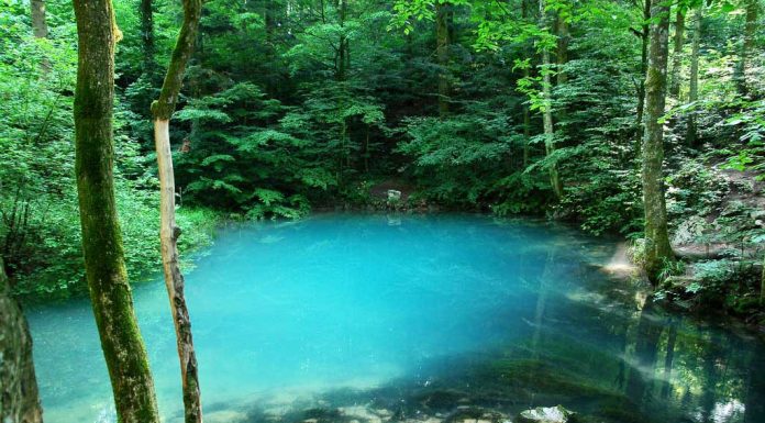 De ce trebuie vizitat lacul Ochiul Beiului?