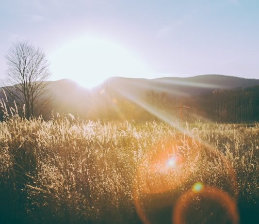 Mesaje de buna dimineata joi: Care sunt cele mai frumoase mesaje?
