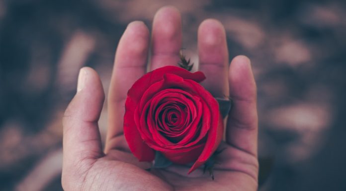 Top cele mai frumoase mesaje de sentimente si iubire?