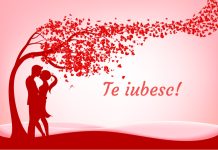Ce mesaje de iubire si dor sa trimiti persoanei iubite?