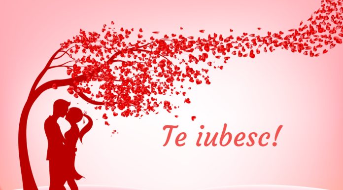 Ce mesaje de iubire si dor sa trimiti persoanei iubite?