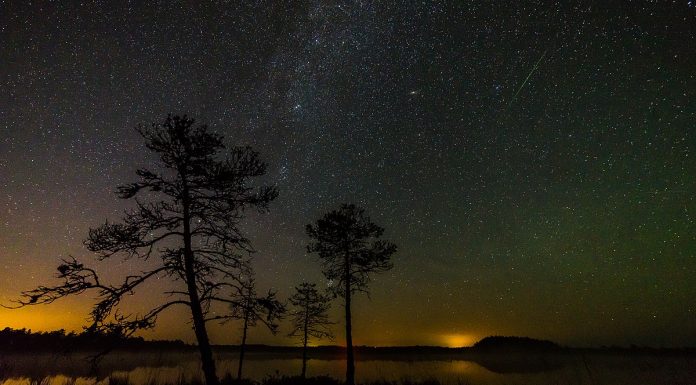 Ce sa scrii intr-un mesaj de noapte buna iubire? Idei de mesaje